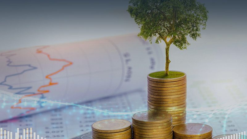 食品行业FSSC22000认证：揭秘其重要性及咨询公司选择要点